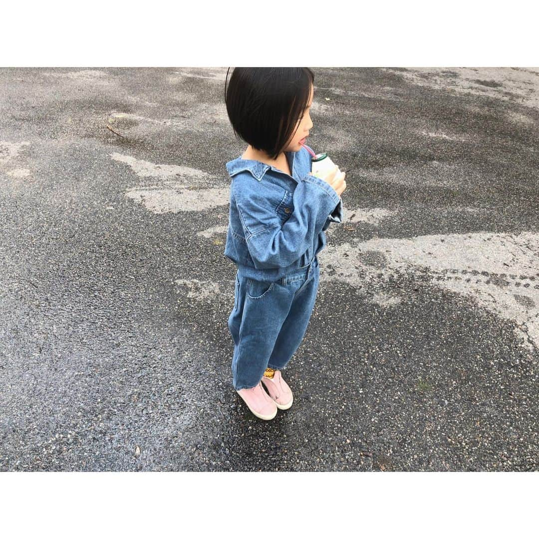 monmimi1さんのインスタグラム写真 - (monmimi1Instagram)「. . 台風一過 台風一家 . . . . . . . . . .」9月8日 11時06分 - monmimi1