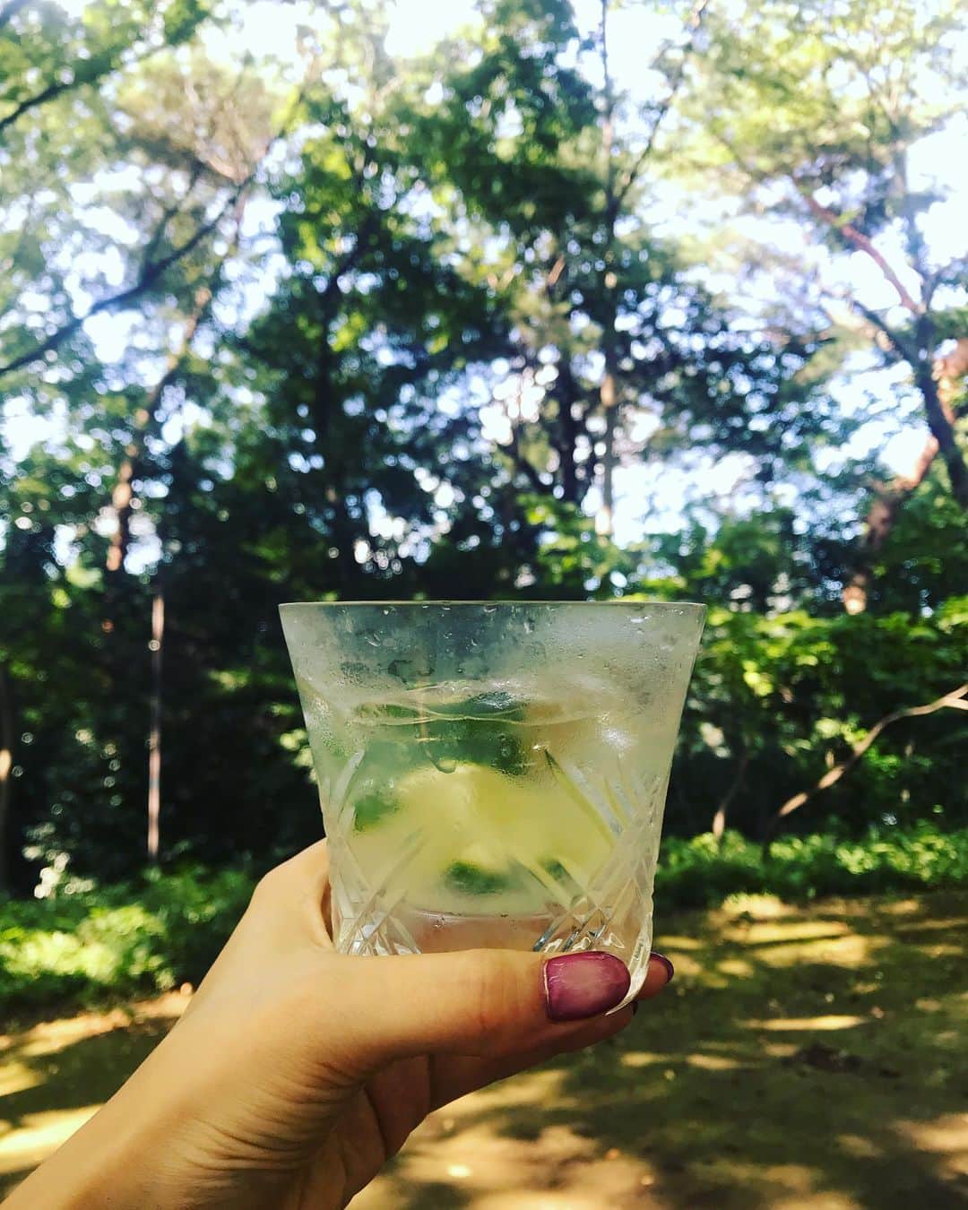 橋本麗香のインスタグラム：「目の前 今日 今 この瞬間 その積み重ねが未来を創って行く だからこそ クリアなハートで純粋に 今、この刻を 大切に刻んで行きたい ． クリアな物はクリアな物事を生み 屈折した心は屈折した状況を招く ． 当たり前の原理 ． 心と思考に注意を払って 幸せな選択を常にして行きたい ． #感謝 #愛」
