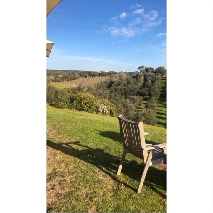 イ・ダヘのインスタグラム：「#beautiful#winery#morningtonpeninsula」