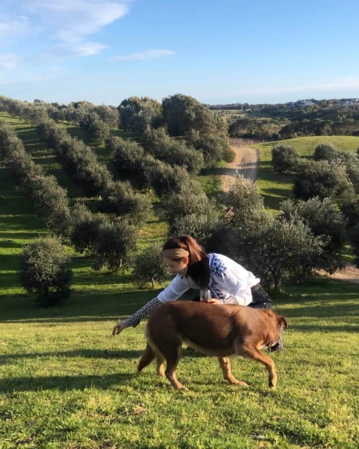 イ・ダヘのインスタグラム：「#morningtonpeninsula 에서만난 귀요미🐶」