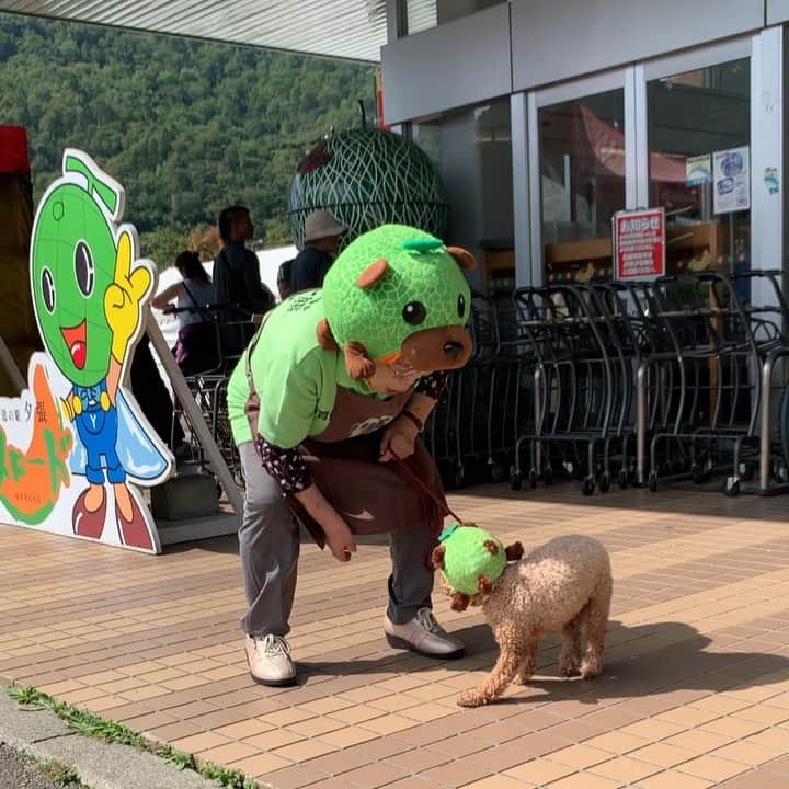 メロン熊【公式】のグルメインスタ