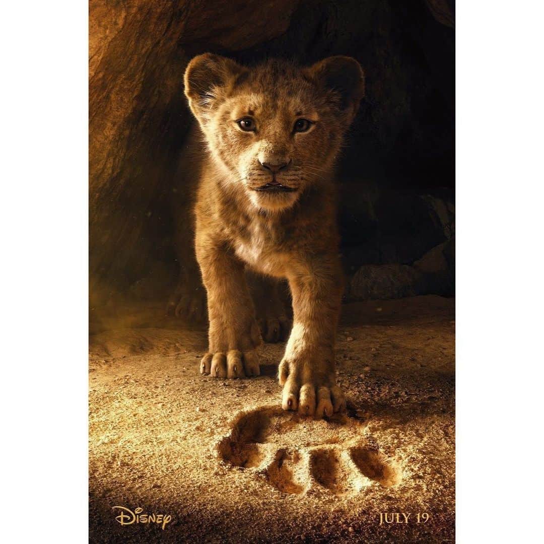 立花陽香さんのインスタグラム写真 - (立花陽香Instagram)「これはトラだけど🐯 #ライオンキング ２回目、観たよ💕もう１回、映画館で観るよ💕 好きなシーンは、子ライオンのシンバがお父さんの大きな足跡と自分の小さな足を重ねるシーンです🐾 ネコ科の動物LOVE💕顔が好き💕 @lionking #lionking 🦁」9月8日 23時20分 - haruka_4