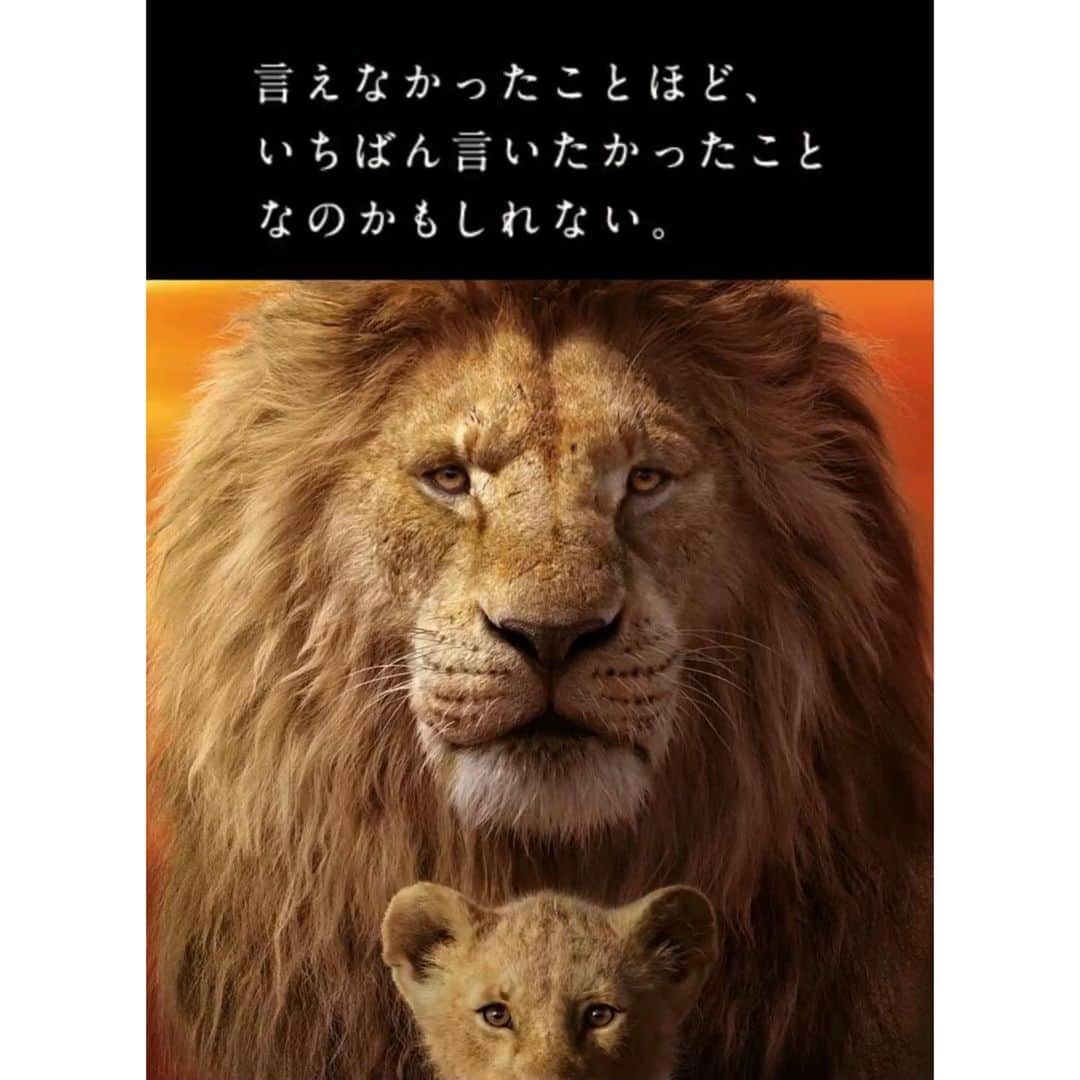 立花陽香さんのインスタグラム写真 - (立花陽香Instagram)「これはトラだけど🐯 #ライオンキング ２回目、観たよ💕もう１回、映画館で観るよ💕 好きなシーンは、子ライオンのシンバがお父さんの大きな足跡と自分の小さな足を重ねるシーンです🐾 ネコ科の動物LOVE💕顔が好き💕 @lionking #lionking 🦁」9月8日 23時20分 - haruka_4