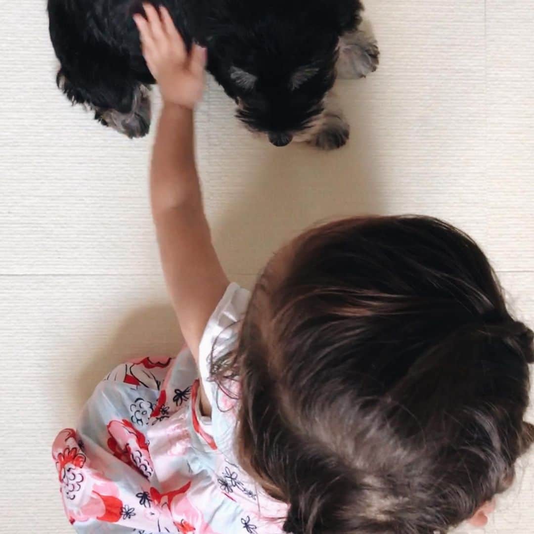 大橋菜央さんのインスタグラム写真 - (大橋菜央Instagram)「Hello Maru😻❣️ . . . 弟家族のもとにやってきたMaru♡ 生後2ヶ月のミニチュアシュナウザーが可愛すぎて ずっとゲートの中にいたくなる🥰 . 赤ちゃん犬と子どもは何やら分かり合えるようで お互い最初からうち解けてた . Mia初のいぬの友達 一緒にすくすく育て🙌💓 . . . #minitureschnauzer #ミニチュアシュナウザー #仔犬 #生後18ヶ月#1歳半 #1歳6ヶ月 #犬のお友達  #たれ眉 #たれ眉同士 #たれ目 #こどものいる暮らし #こどもと暮らす #miababyliving」9月8日 23時55分 - naoliving