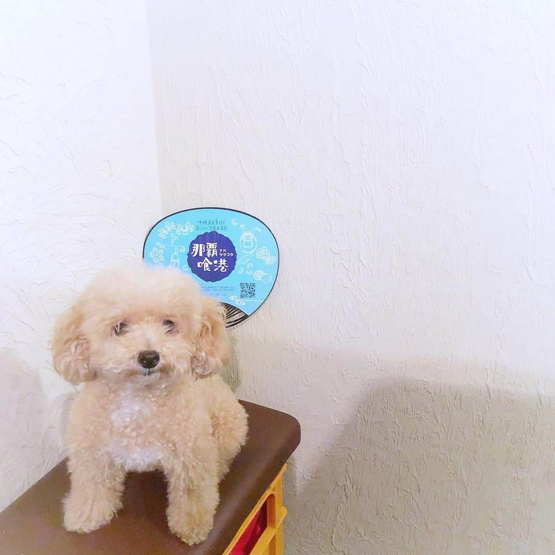 渡辺真実絵のグルメインスタ