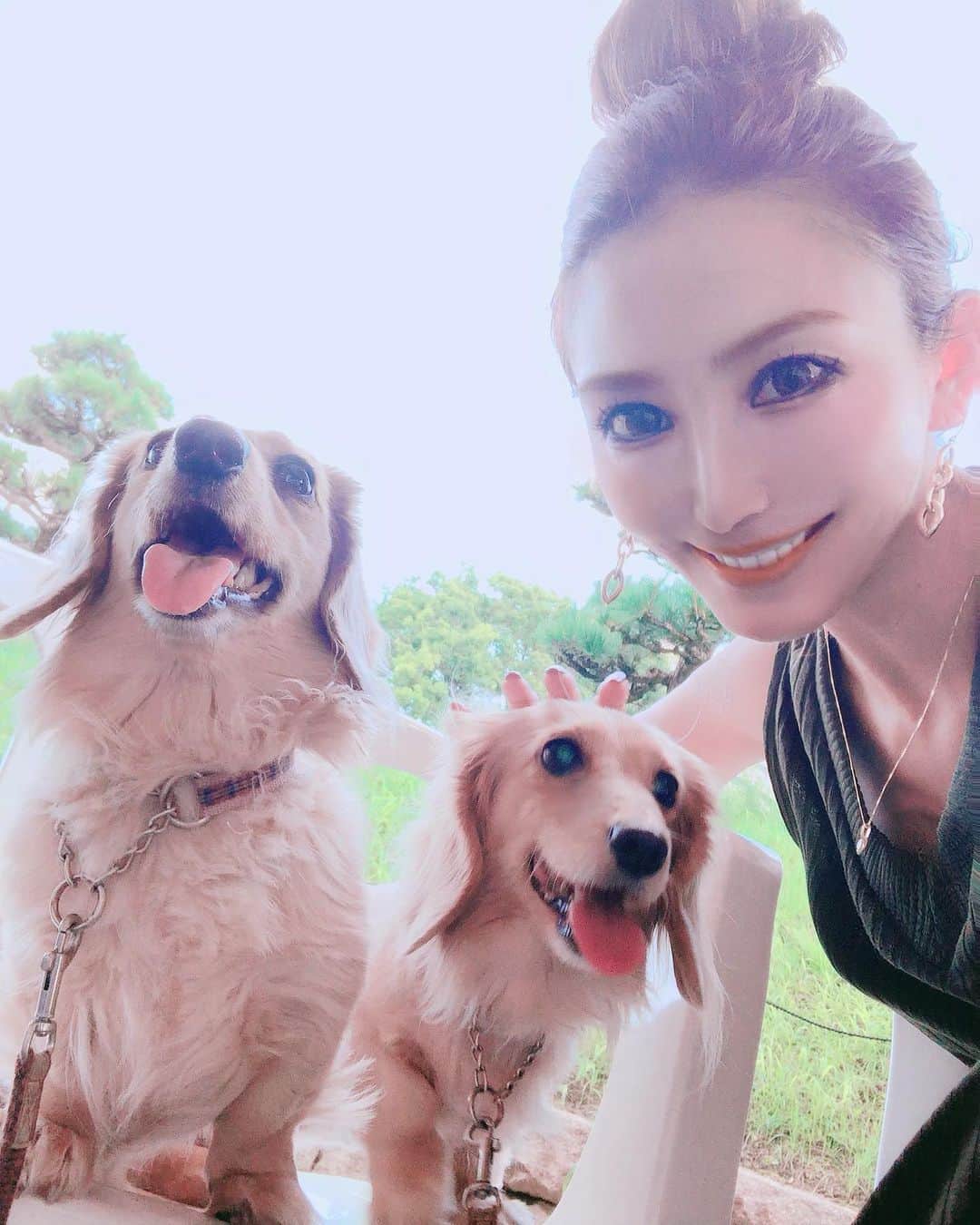 鈴木絢子さんのインスタグラム写真 - (鈴木絢子Instagram)「・ ・ 来週からまた一週間出張。 ということで、本日はワンコデー🐶🐶✨ ・ 東京は台風だというのに、大阪は35度の真夏の日差しと暑さで💦  少し涼しくなったタイミングで、#大阪城公園 へお散歩に。 ・ #犬連れOK のお店も多く、緑も豊富で最高でした👍✨ ・ ワンコたちも満足気な表情、、🥰 なのか、暑くて舌が出ているだけか😅 ・ ・ ・ #犬バカ部 #ワンコ好き #トリュフとフォアグラ #親子犬 #スタバ #犬連れスタバ #大阪城公園カフェ #癒しの時間 #関西おさんぽスポット #コラム執筆 #ミニチュアダックスフント #osakalife #smile #dogstagram #🐶🐶 #🥤#🌺 #🏯」9月8日 23時59分 - ayako_suzuki810