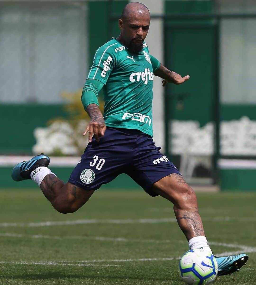 フェリペ・メロさんのインスタグラム写真 - (フェリペ・メロInstagram)「#domingando 🦁🐷💚 #treino #trabalho #obrigadoJesus #palmeiras」9月9日 0時26分 - felipemelo