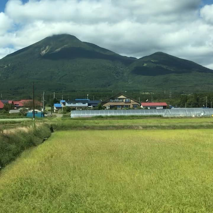 小谷あゆみのインスタグラム