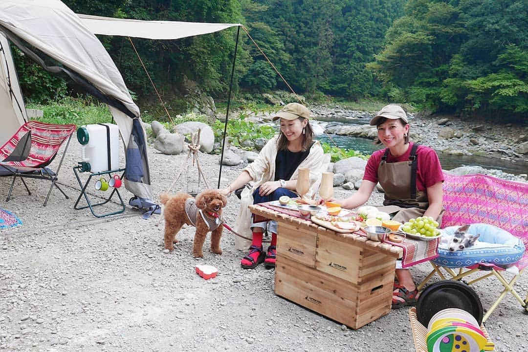 芳美リンさんのインスタグラム写真 - (芳美リンInstagram)「キャンプやっと行けたー！﻿ ﻿ 絶妙に台風を回避して、2泊3日堪能しました！﻿ ﻿ 初日は愛犬トイ🐶へのオファーで、﻿ #ホンダ さんの﻿ #ウェブメディア 、#カエライフ　の撮影でした！﻿ ﻿ 撮影は初日のデイキャンのみ☺﻿ 後はがっつりプライベートで楽しんじゃいました♪﻿ ﻿ 撮影場所はリアル行きつけの、﻿ ﻿ #青野原野呂ロッジキャンプ場﻿ @aonohara_noro_lodge ﻿ ﻿ 楽しかったー！﻿ ﻿ たくさん写真撮影したのでちょこちょこアップしていきます♪﻿ ﻿ #ホンダアクセス#青野原#キャンプ#女子キャン#犬キャン#アウトドアモデル#アウトドア#outdoor#camp﻿ #Captainstag﻿ @captainstag﻿ #キャプテンスタッグ#鹿番長﻿ #キャップ：#ルピス @queen.lupis (hat0018)#pr﻿ #エプロン#Tシャツ#xazuroyx#アズロイ﻿ @xazuroyx #KEEN #キーン #モラタメパーティー部#モラタメフォト部 ﻿#jackery」9月8日 16時19分 - lynn.lynn5