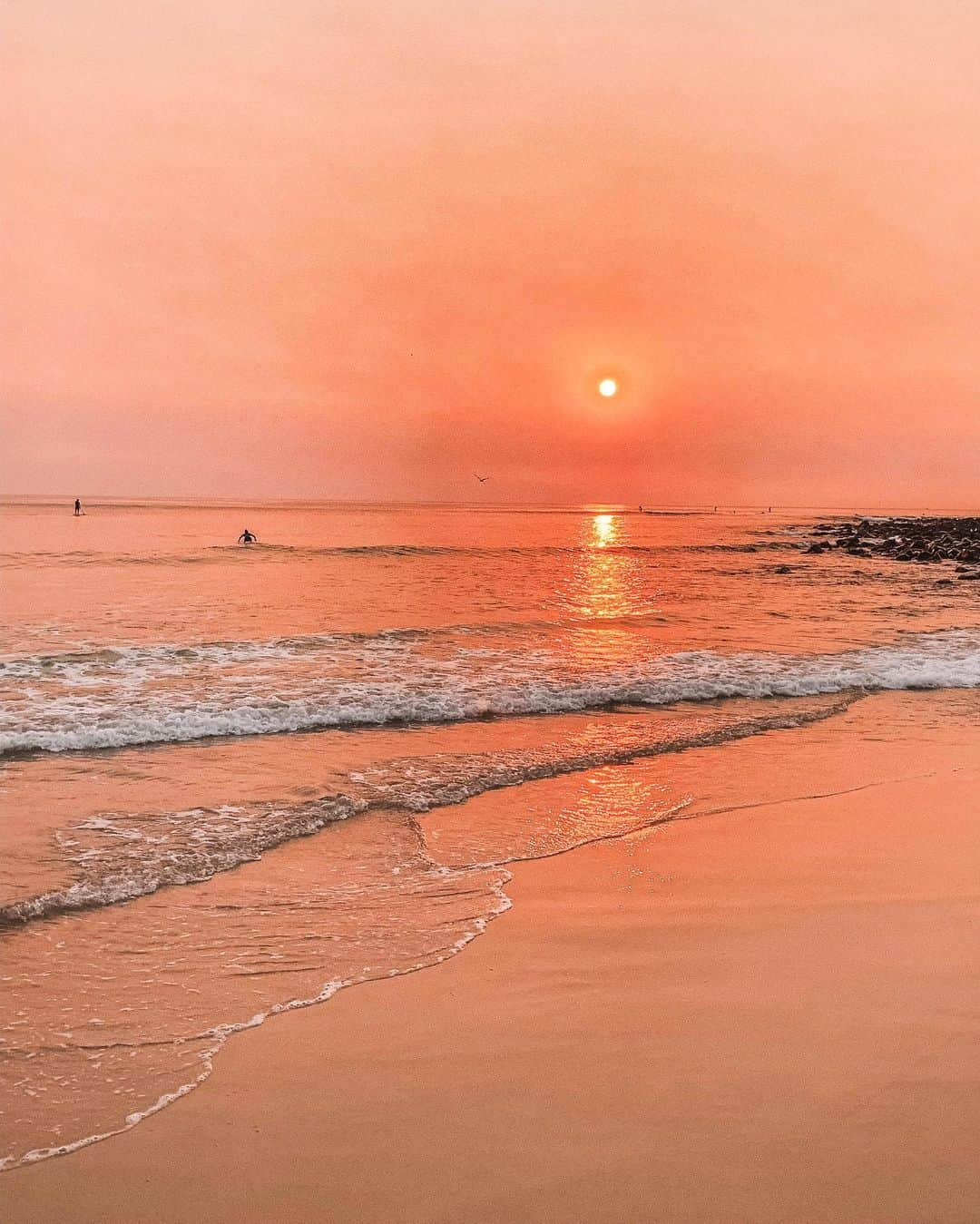 SPELLさんのインスタグラム写真 - (SPELLInstagram)「This may look like a sunset, but unfortunately it’s the sunrise this morning. A smoke haze from fires all over NSW and QLD has given the sun this crazy glow .... 🔥🔥🔥 ... our hearts go out to the affected areas that are dear to our hearts. My husband and two little boys have visited these areas on our little family holidays over the years and to see them being hit by such devastation and relentless fire is just heartbreaking. Applethorpe, Stanthorpe, beechmont, Lamington National Park, to name a few ... we send all our strength and love ... watch this space as we will send out details in ways you can help those who have lost everything xxx 💛💛💛 stay strong xxx Spelly and Dougall」9月8日 17時04分 - spell