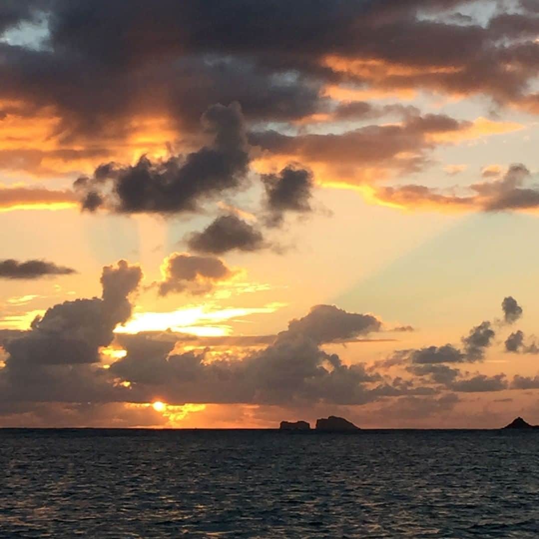 Luxury Cruise by Captain Bruceさんのインスタグラム写真 - (Luxury Cruise by Captain BruceInstagram)「この日はベテランキャプテンも Amazingly beautiful! と感動していました^^⁠ ⁠ 雲で水平線からのサンライズが見えない日は、雲に光が反射して、空が普段見られないような色に変わります。⁠ ⁠ ⁠ #captainbruce ✨ #sandbar #kaneohe #hawaii #oahu #oahulife #vacation #ahuolaka #sunrise #goodmorning #キャプテンブルース #天国の海ツアー #天国の海 #アフオラカ #ハワイ大好き #絶景 #夜明け #日の出」9月8日 18時05分 - cptbruce_hi