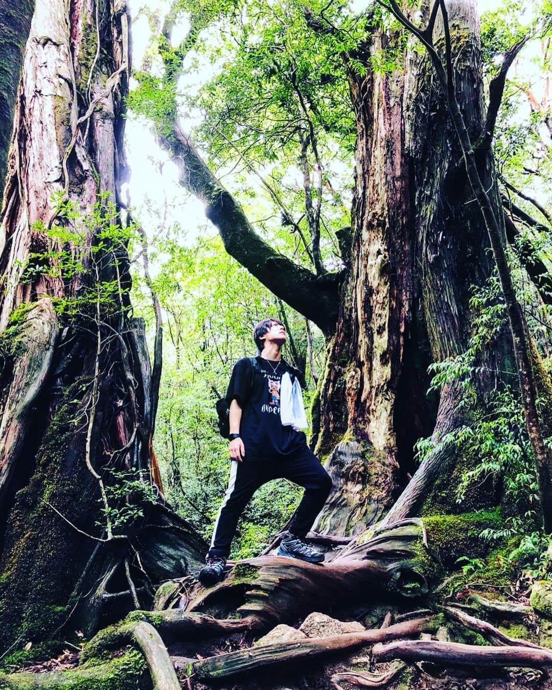 引地敬澄のインスタグラム：「⛰ひきすな屋久島の旅-其の②-🏞 . 📸①いま、会いにゆきました🌲 映画『いま、会いにゆきます』のポスター写真に使われた二本の杉が並ぶ名所で今世紀最大のドヤりをかます引地さん😇うん。。。 . ナイスぱおーにですねぇ🤘😇w (…お気付きだろうか？こんなにカッコつけてるのにTシャツがPAOONIな所に。🤘😇) . 📸②七本杉と引地さん🐕🌲 いやぁ、、、デッカいね君ぃいい😼🍀 な、図ですね。 . 📸③ひきすなと白谷雲水峡🏞 3日目は『白谷雲水峡』に挑みました🐕🔥！！ 2日目の縄文杉トレッキングに比べるととても余裕がありめちゃめちゃ元気な二人の図ですね😼🍀 . 📸④⑤もののけ姫の、、？🦌 もののけ姫のイメージモデルにもなった『苔むすの森』🌲🌳 今にもあの白いアイツが出てきそうな神秘的な場所でした☺️🍀 あの白いヤツなんだっけ？なんかアイツだよ、ほら、アイツ、、、あのー白いーなんかずっとこっち見んななヤツ！、、、なんだっけ😂？(名前が絶賛思い出せないw) . 📸⑥自然と私とぱおーにと🤘😼🐕 3日目のコスチュームも絶賛、、、『てんちゃん画伯 @tensuken 』に描き上げて頂いた『新ぱおーにT』でした🤘😼🍀w (※やぱ屋久島景色バッチリだからね！インスタ映えとしてしっかりお洒落していかなきゃね！うん！！引地さんデザイナーだしね！うん！) . . . ps.もちっと屋久島投稿するのでお楽しみ頂けたら嬉しいです☺️🍀 いやー大自然ほんっとに、、、3150ぉおおお🤘😼🤘！！ . . . #屋久島 #縄文杉 #白谷雲水峡 #苔むすの森 #もののけ姫 #ジブリ  #トレッキング #登山 #世界自然遺産 #大自然 #鹿児島  #引地敬澄 #砂川勇斗 #ひきすな #中学からの同級生 #男旅 #3150  #KinCrossWorld #SMILOOP #HAPEACE #引地髪服  #fashion #instagood #followme #amazing #photooftheday」