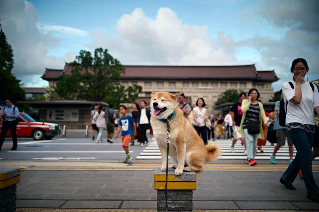 まる（まるたろう）のインスタグラム