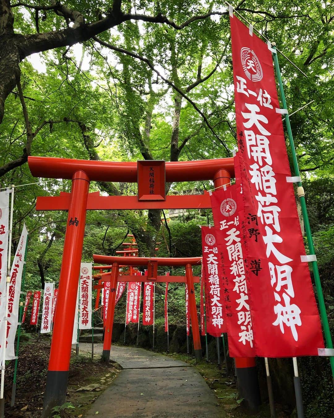 尾崎愛のインスタグラム：「平日朝早かったからか、ほとんど他に誰もおらず。久々にゆっくり参拝できました👏 自分の干支の鈴を鳴らしてから中央の鈴を鳴らしましょうとのこと🐮 #太宰府天満宮 #天開稲荷社 #福岡 #神社 #参拝 #お参り #鳥居 #japan #travel #fukuoka #shrine #photooftheday」