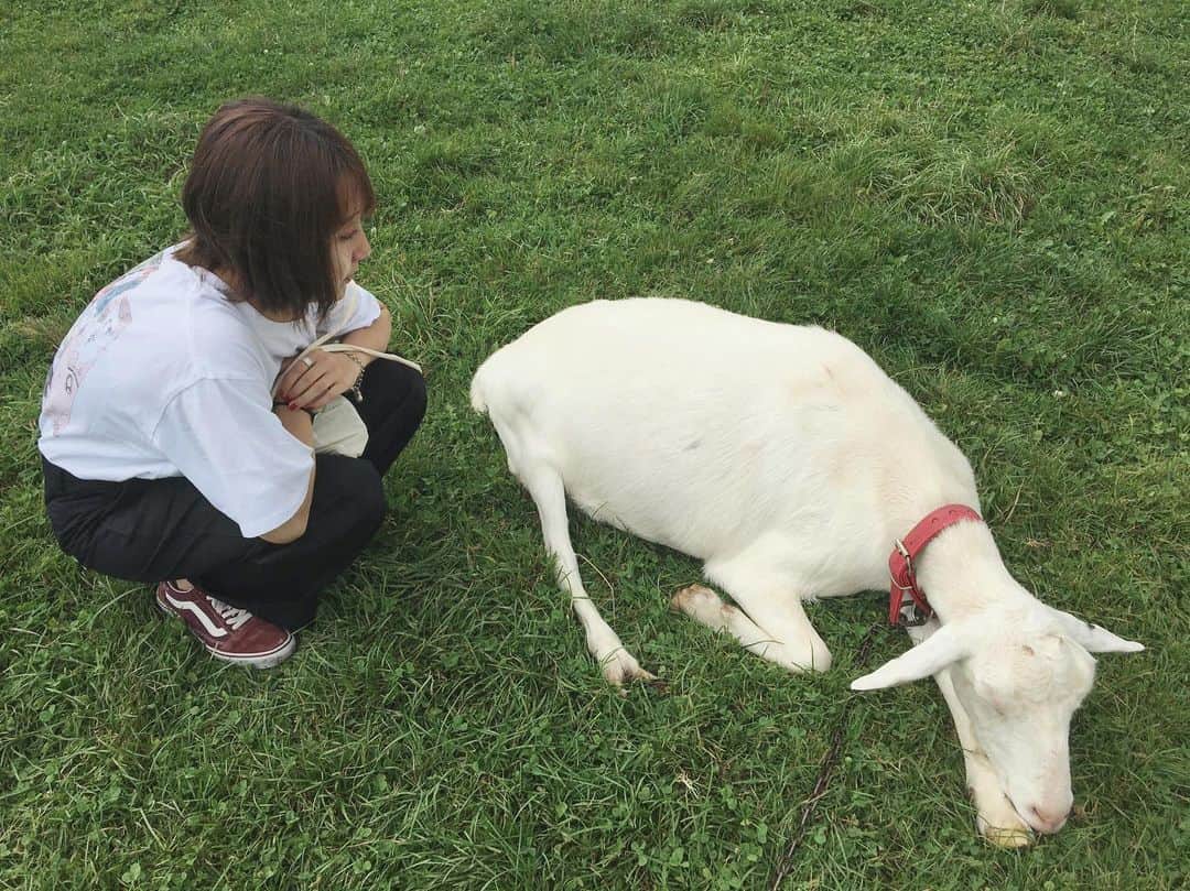 吉良穂乃香さんのインスタグラム写真 - (吉良穂乃香Instagram)「私とヤギ。 #レークヒルファーム#洞爺湖」9月8日 19時43分 - _honoka_kira