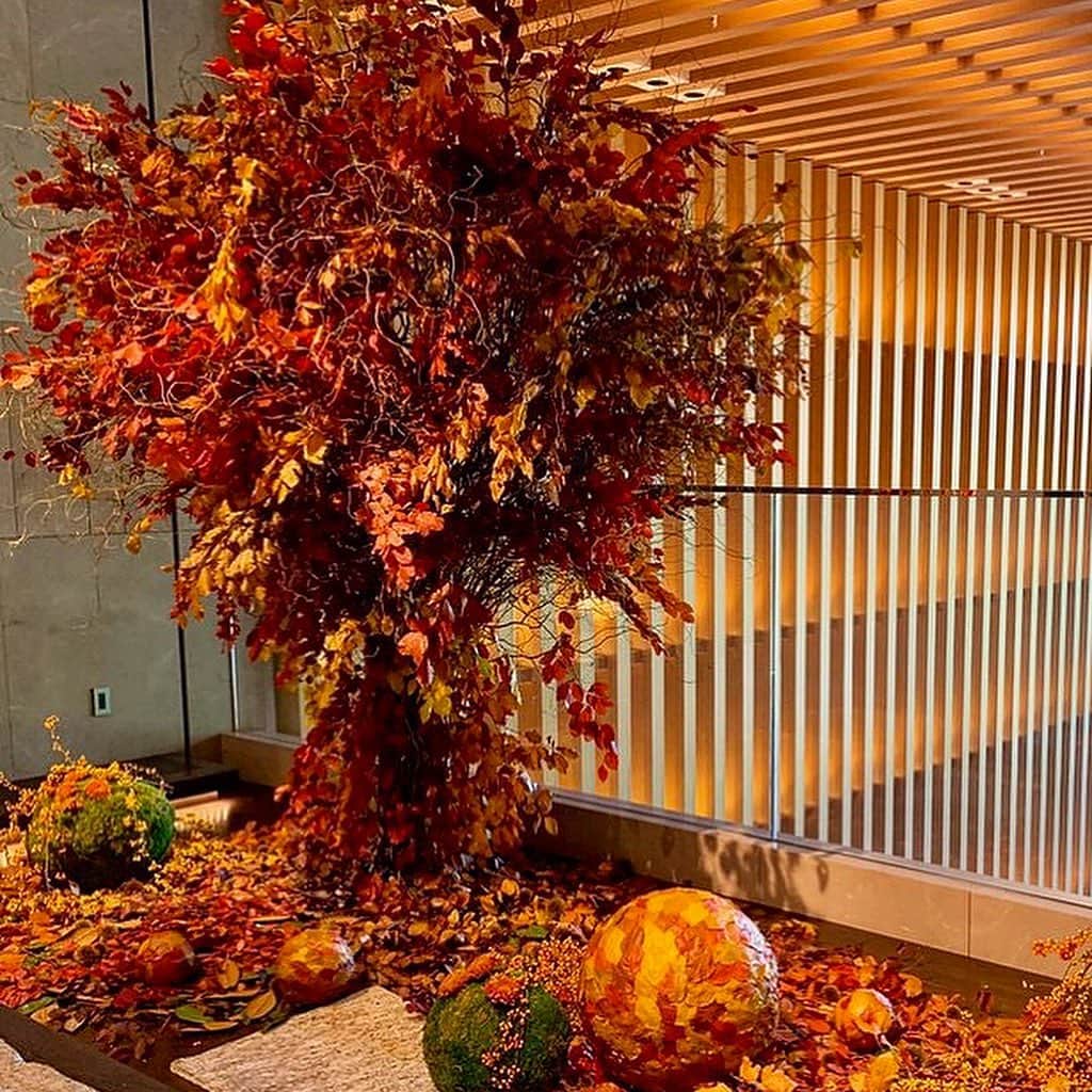 ニコライ・バーグマン・フラワーズ＆デザインさんのインスタグラム写真 - (ニコライ・バーグマン・フラワーズ＆デザインInstagram)「Our Autumn Lobby Display at Four Seasons Hotel Kyoto #nicolaibergmann #fskyoto #lobbyflowers #autumn」9月8日 19時49分 - nicolaibergmann