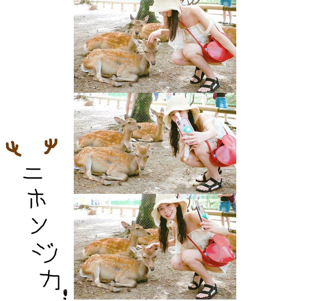 張香香さんのインスタグラム写真 - (張香香Instagram)「與小鹿斑比自拍Get!🦌🤳」9月8日 19時47分 - m40925