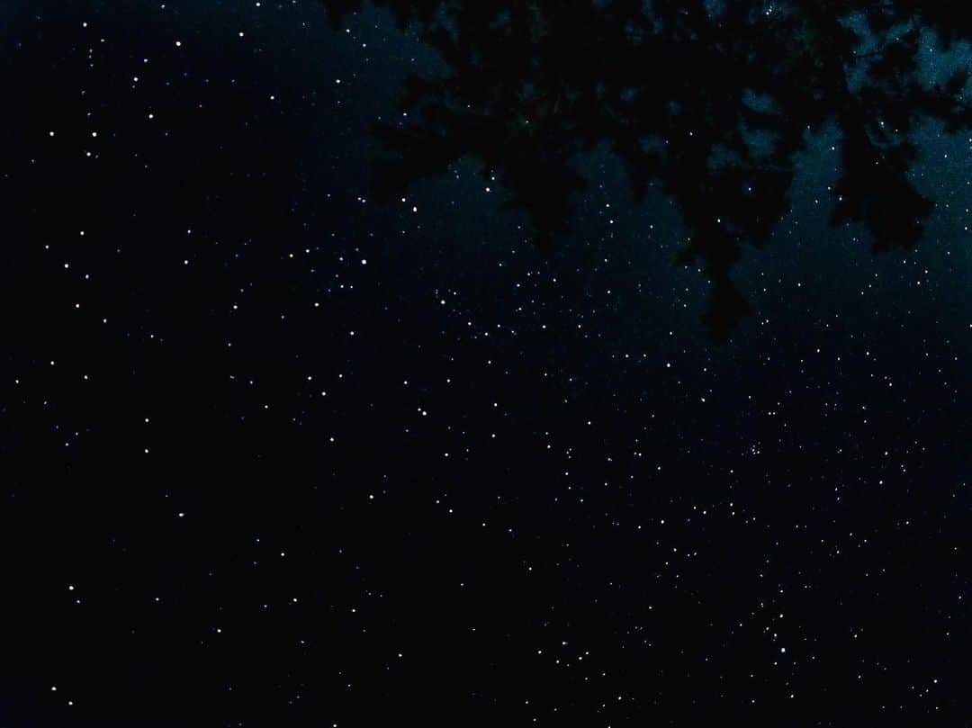 西園寺未彩のインスタグラム：「. . . ながれぼし みたいってねがったら みれたから かなわないねがいは ないんだとおもう . . #流れ星 #粟島 #夜 #夜空 #星 #星空 #ファインダー越しの私の世界 #星空撮影 #ミラーレス #sky #空 #night #nightview #nightview #viewpoint #instagood #summer #starrysky #shootingstar #별 #밤하늘 #별똥별」
