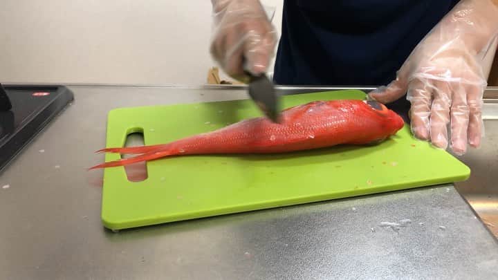 萱和磨のインスタグラム：「きまぐれクックさんのyoutube見すぎて、魚捌きたくなりました。 #初捌き #金目鯛 #きまぐれクック #煮つけ #美味い #捌くの難しい #世界選手権前のリフレッシュ」