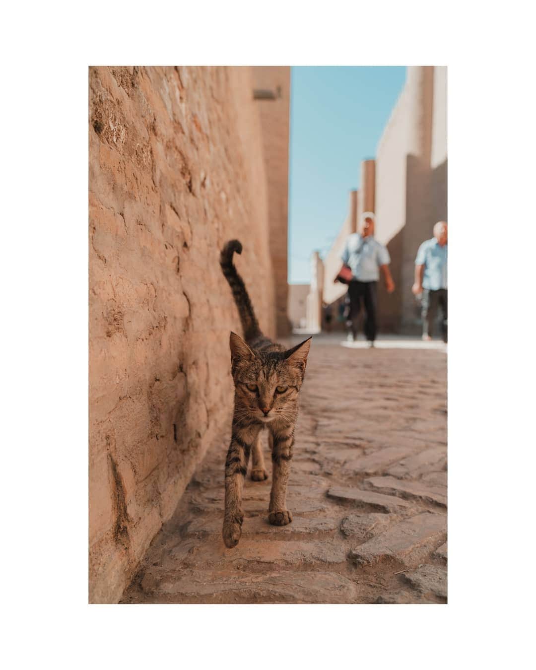 Putri Anindyaさんのインスタグラム写真 - (Putri AnindyaInstagram)「20 hours in Khiva // if i could choose my favorite place in Uzbekistan, Khiva possibly became my favorite. The atmosphere was very enchanting and it was the first city we visited after Tashkent. The huge wall that surrounded the old city, made this place even more mythical. There are a lot of kids who said hi and smiles to me. . . A trip with @worldinfluencerscongress #visituzbekistan #wicuzbekistan」9月8日 20時51分 - puanindya