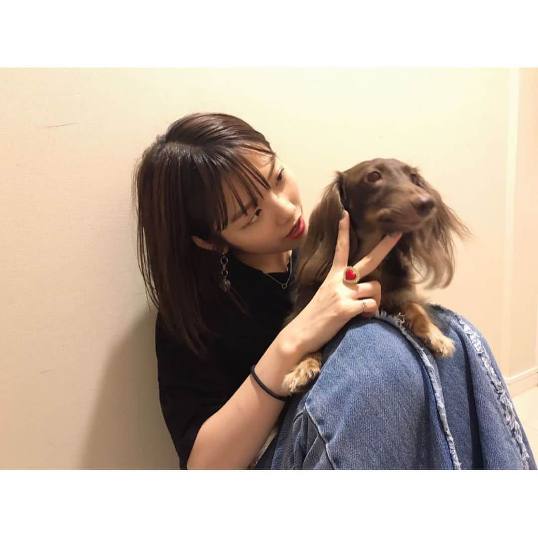 MOMOKAさんのインスタグラム写真 - (MOMOKAInstagram)「・ 最近ジョンくんと、 仲良しなのです。🐶❤️ 22:30からエフヨコBID よろしくねーーっ！✌︎」9月8日 21時07分 - momoka_jewel