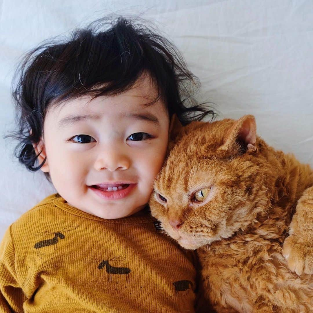 ギネス & ピムスさんのインスタグラム写真 - (ギネス & ピムスInstagram)「08/09/2019 Happy Sunday! ・ Team Ginger! Enjoy the rest of your weekend everyone! ・ ・ さっき撮ったジンジャー軍団。 凪くんの髪型、サザエさん風。 今朝は天パ強め。 7ヶ月くらいから 体重の増え方がゆっくりになったので 結局サイズ60の洋服が 1番長く着れている！ 一時期は お腹ぱっつんぱっつんだったやつも、その頃伸びたお陰かすんなり入る！笑 ピム丸は過去最高体重更新中。 それでは引き続き素敵な週末を♬ ・ ・ #ピムスくん #ギネピムと凪くん  #9monthsold #生後9ヶ月  #babyboy #男の子ベビー #赤ちゃんのいる生活 #赤ちゃんのいる暮らし #赤ちゃんと猫 #猫と赤ちゃん #ベビー服」9月8日 21時25分 - rina_takei