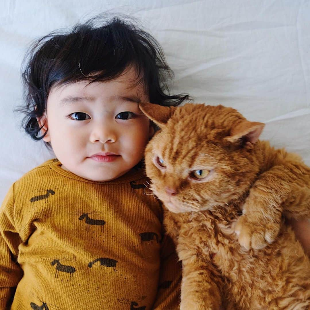 ギネス & ピムスさんのインスタグラム写真 - (ギネス & ピムスInstagram)「08/09/2019 Happy Sunday! ・ Team Ginger! Enjoy the rest of your weekend everyone! ・ ・ さっき撮ったジンジャー軍団。 凪くんの髪型、サザエさん風。 今朝は天パ強め。 7ヶ月くらいから 体重の増え方がゆっくりになったので 結局サイズ60の洋服が 1番長く着れている！ 一時期は お腹ぱっつんぱっつんだったやつも、その頃伸びたお陰かすんなり入る！笑 ピム丸は過去最高体重更新中。 それでは引き続き素敵な週末を♬ ・ ・ #ピムスくん #ギネピムと凪くん  #9monthsold #生後9ヶ月  #babyboy #男の子ベビー #赤ちゃんのいる生活 #赤ちゃんのいる暮らし #赤ちゃんと猫 #猫と赤ちゃん #ベビー服」9月8日 21時25分 - rina_takei