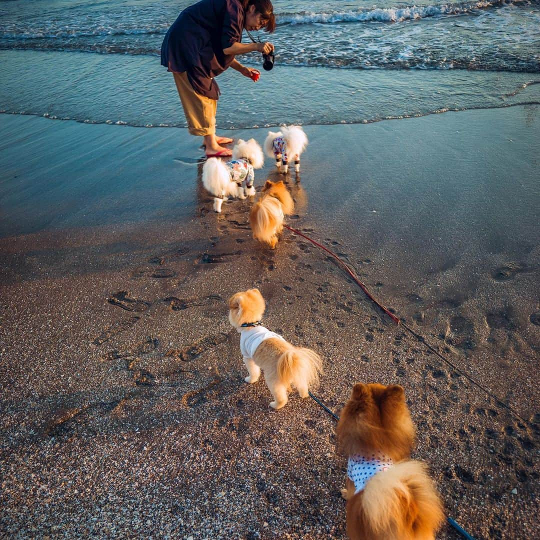 ポテチンさんのインスタグラム写真 - (ポテチンInstagram)「9月のはじまりは海の近くのステキなお家のBBQで。Special thanks Lily’s dad 👨🏻」9月8日 21時30分 - pom.potechin