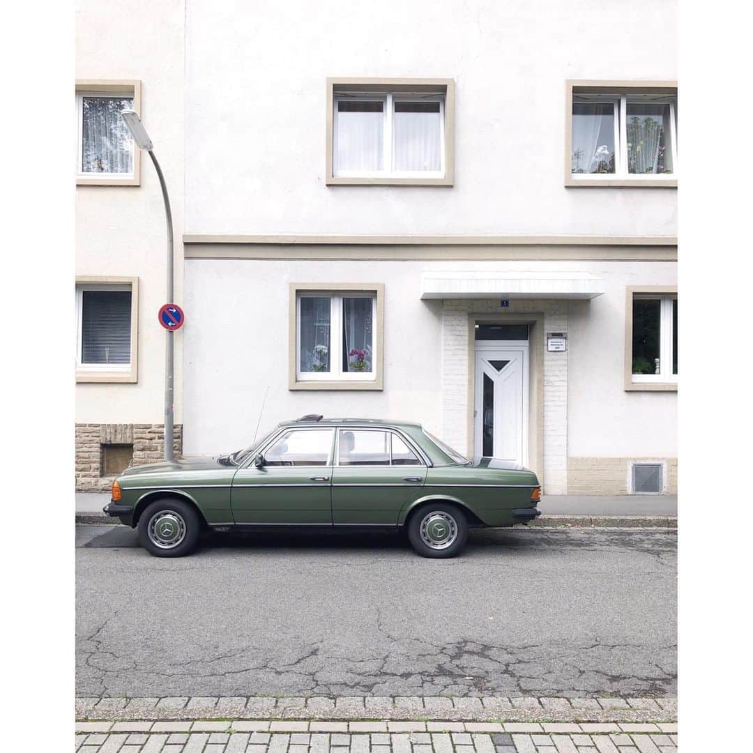 palomaparrotのインスタグラム：「i think this is my very first #asundaycarpic」