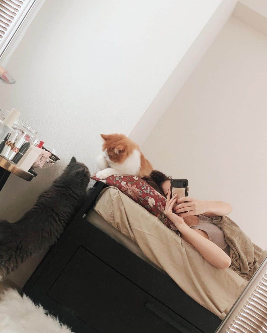 古川貴絵さんのインスタグラム写真 - (古川貴絵Instagram)「微笑ましい光景を見るため鏡を設置した☺️ 毎日癒されてます。可愛い #猫」9月8日 21時48分 - _kiegram