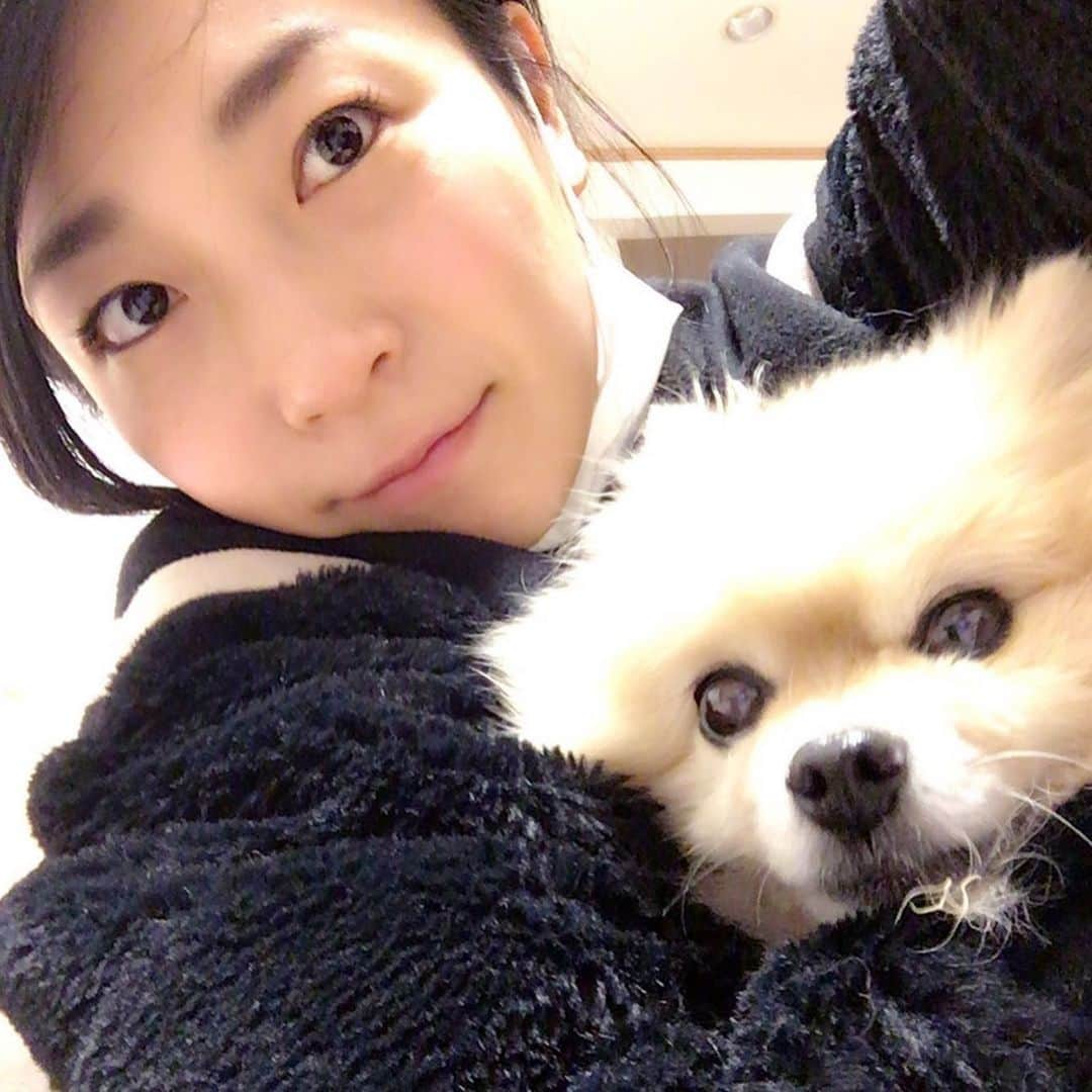 安藤あいかさんのインスタグラム写真 - (安藤あいかInstagram)「９月４日に愛犬のれもんちゃんが息を引き取りました。そして今日、天国へ旅立ちました。葬儀には親戚も駆けつけてくれて嬉しかったね。 SNSでもみんなにたくさん可愛がってもらったので、報告でした。 16歳5ヶ月。病気もしてつらいこともあったね。がんばったね。お疲れ様。 うちにきてくれてありがとう！ 人見知り犬見知りだし散歩行きたがるけせに歩かない、触れというけど触りすぎると怒る、そんな自由なれもんちゃん大好きだったよー旅がんばってね！なんだか長い旅みたい。 末っ子がいなくなり寂しいー 写真は、ここ2〜3年のれもんちゃん。 家族が愛おしすぎて弟と別れる時にハグしようとしたら避けられた、、！」9月8日 23時01分 - aikaando