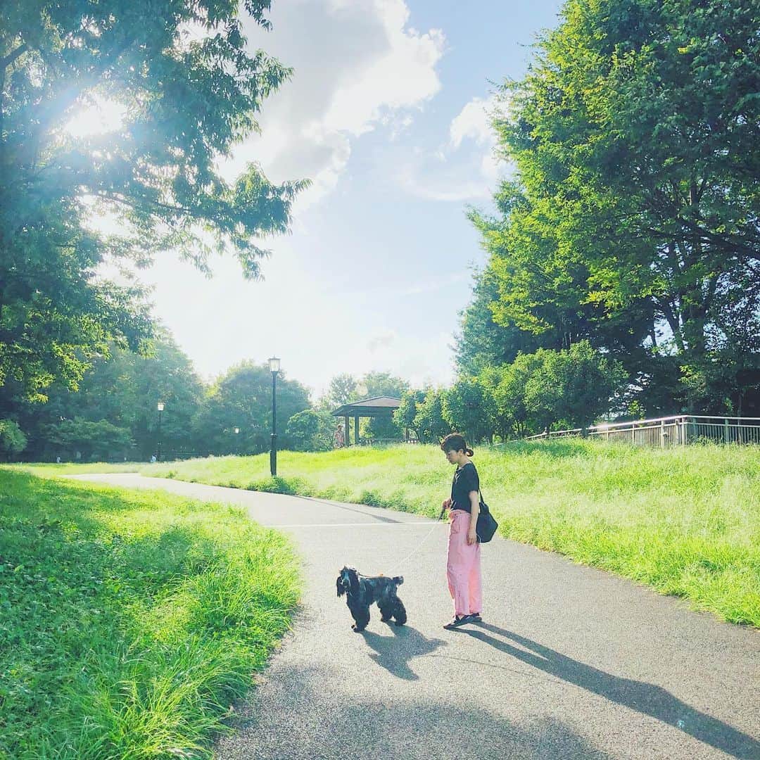 石野千尋のインスタグラム：「Sunday afternoon in the park with @noconocoyuki and @revo0520 ♡ . 青空と太陽を浴びたくて、公園まで娘とお散歩。 ご近所ユキちゃん @noconocoyuki 3ヶ月ぶりに会えたリボ @revo0520 と一緒に、気持ちの良い風を浴びてきました！ . 毎年言ってる気がするけど… 夏、終わらないで😂 . #summer#dogstagram#dog#englishcocker#photographer」