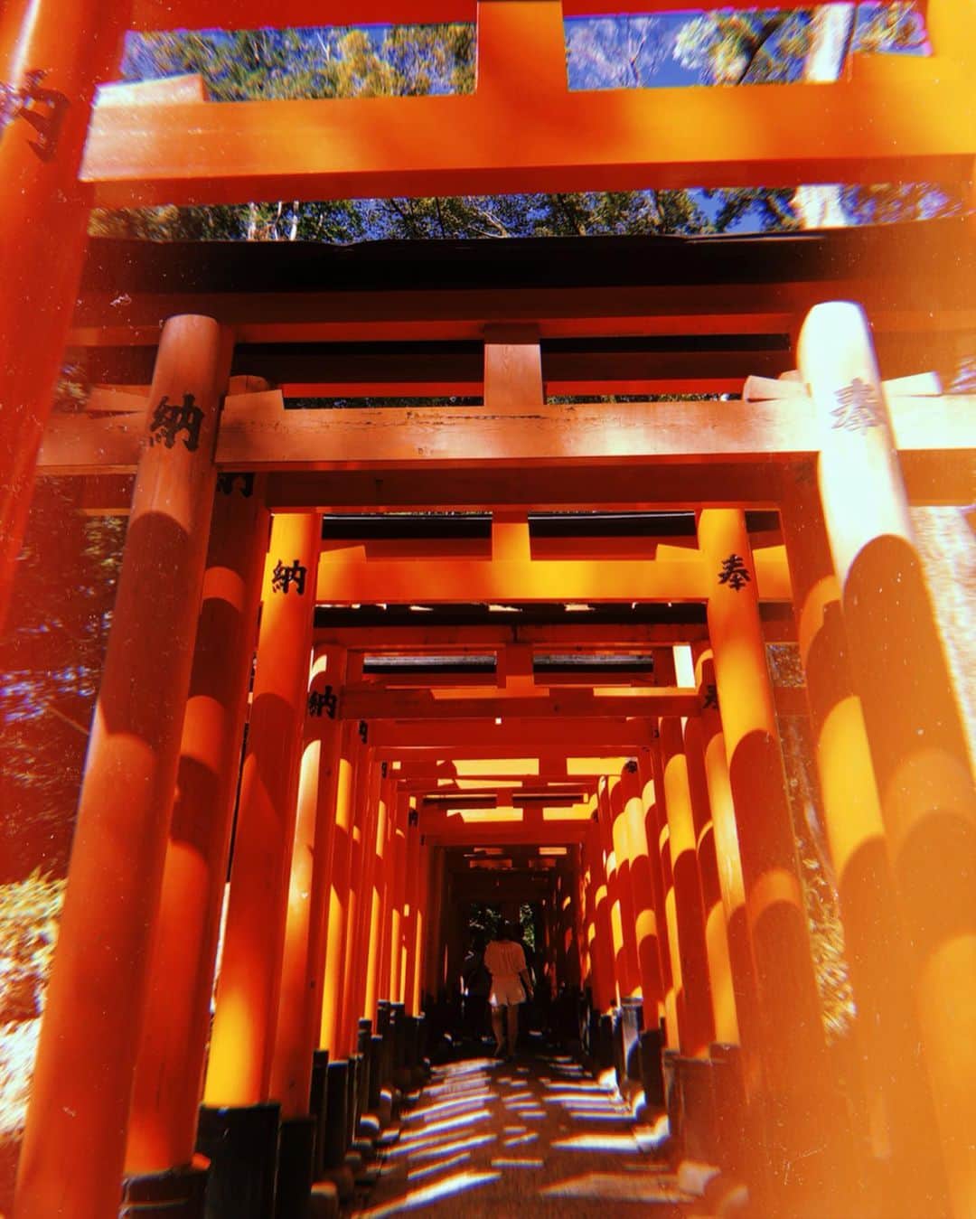 のインスタグラム：「#スライドしてね  撮影off日は #京都 へ。 はんなり。中学校の修学旅行ぶり。  大人になって来ると、また違った見え方するんだなあと。 #伏見稲荷 の山頂までの道のり本当にしんどかった…笑笑 和の文化って素敵ですね！ 心が落ち着きます笑笑 浴衣着てる方がちらほらいて、いいな〜私最後着たのいつだろうなんて思いながら目で追っちゃった😂  #清水寺 #kyoto #kiyomizudera #hushimiinari #祇園 #gion」