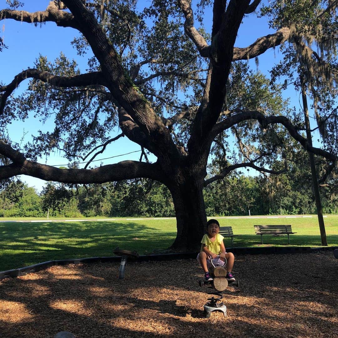 フロリダさえさなさんのインスタグラム写真 - (フロリダさえさなInstagram)「#あなたの番です #最終回 を集中して観たいはずのママ。さえさなが邪魔しないように公園へ連れ出す☀️大木を残し、木の遊具で作られたプレイグランド。木陰がほどよく涼しくて気持ちいい。そりゃオレだって最終回が気になるけど😅」9月8日 23時15分 - saesanafamily