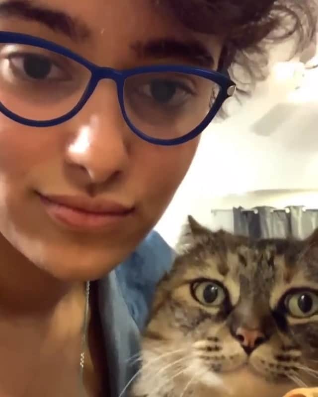Warby Parkerのインスタグラム：「Meow once for 'no' and twice for 'yes'. 😹 (PS: You can give our Virtual Try-On tool a whirl using the latest version of our iOS app—link in our bio! Video by @aesthet.human.)」