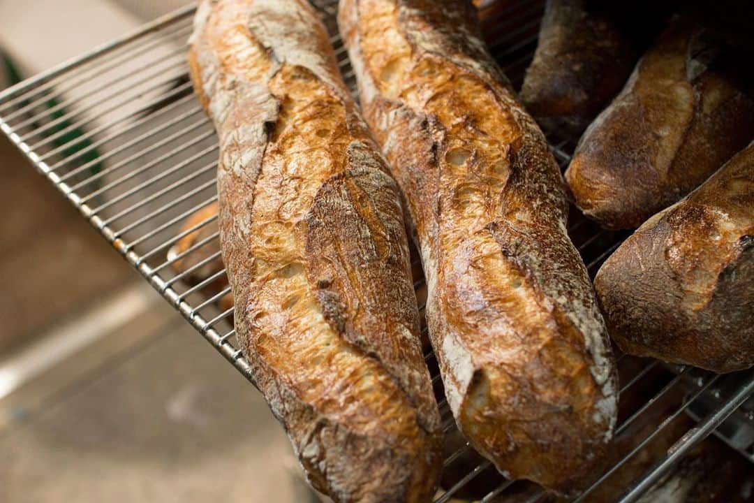 笹塚駅のパン屋さん オパンのグルメインスタ