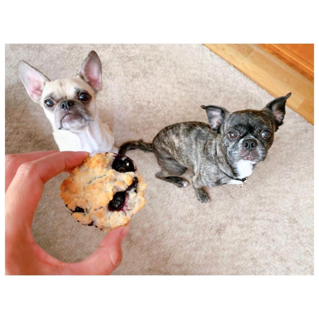 李ヒャンのインスタグラム