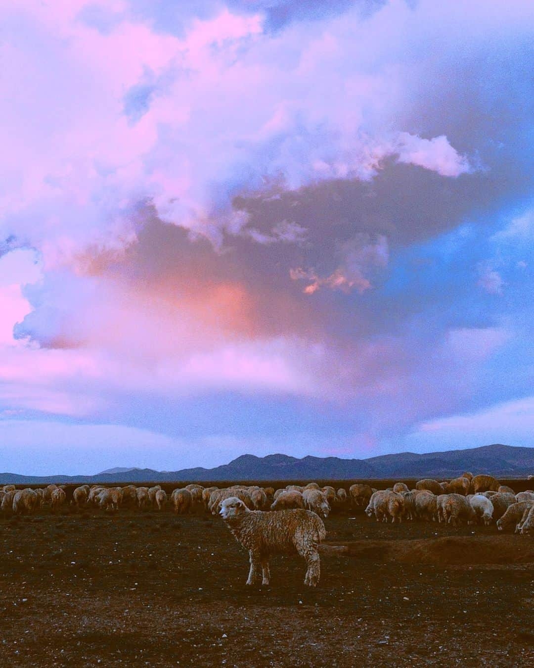 appleさんのインスタグラム写真 - (appleInstagram)「"Pachamama." #andes #ShotoniPhone by Don M. @donmarqvez」9月9日 1時32分 - apple