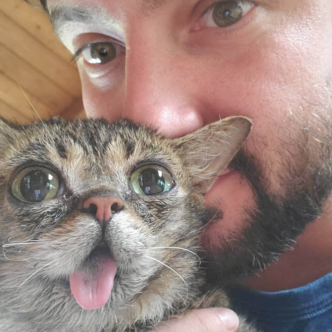 Lil BUBさんのインスタグラム写真 - (Lil BUBInstagram)「Me & BUB rn #mostamazingcatontheplanet」9月9日 2時57分 - iamlilbub