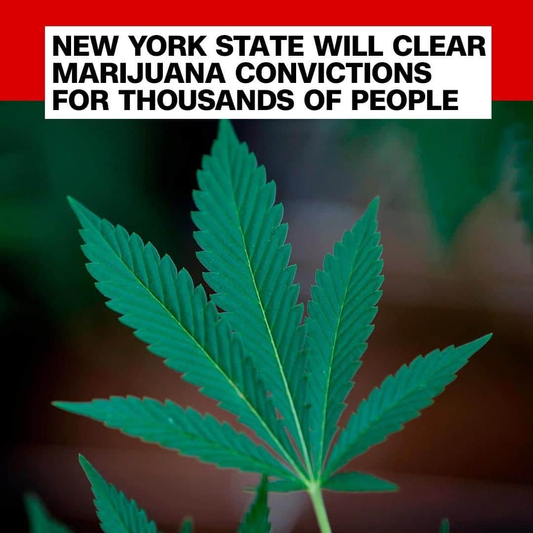 CNNさんのインスタグラム写真 - (CNNInstagram)「More than 150,000 people will have their marijuana convictions effectively erased from their record under a New York State law that went into effect Wednesday. The law also removes criminal penalties for possession of less than 2 ounces of marijuana and reduces the penalty for possession of less than 1 ounce to a $50 fine. (📸: AFP/Getty Images)」9月9日 3時00分 - cnn