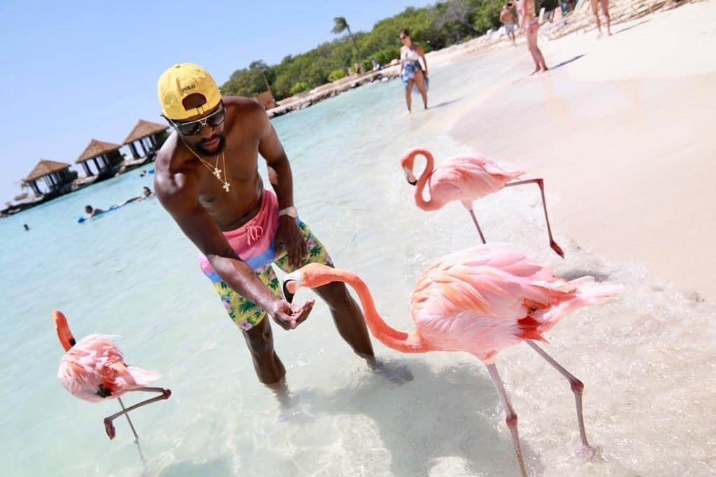フロイド・メイウェザー・ジュニアさんのインスタグラム写真 - (フロイド・メイウェザー・ジュニアInstagram)「Just feeding the Flamingos in Aruba. They say I live a pretty interesting life.  #Aruba #flamingo」9月9日 4時13分 - floydmayweather