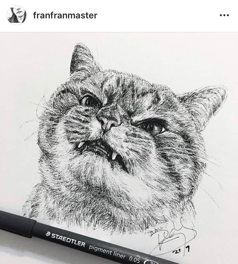 Lokiさんのインスタグラム写真 - (LokiInstagram)「More awesome art by @franfranmaster 😻 #cats #art #catsofinstagram #catsoninstagram #instacat #catstagram #cat #artistic」9月9日 4時37分 - loki_kitteh