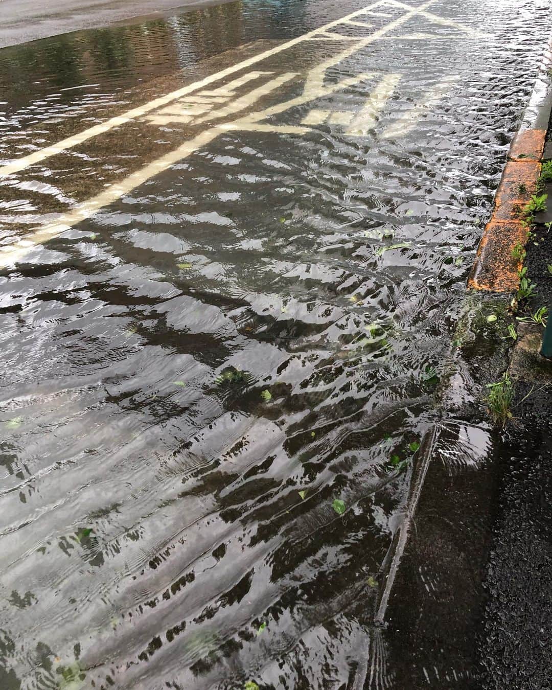 川島章良さんのインスタグラム写真 - (川島章良Instagram)「. . . バス待ってたら水上バス来た  道路が川みたいになっている。  台風の影響すごい  新幹線も大幅に遅れてる。  風もすごいです。  皆さん気をつけて  #台風15号  #バス#都内#運休#台風影響 #都バス」9月9日 7時45分 - hannyakawashima