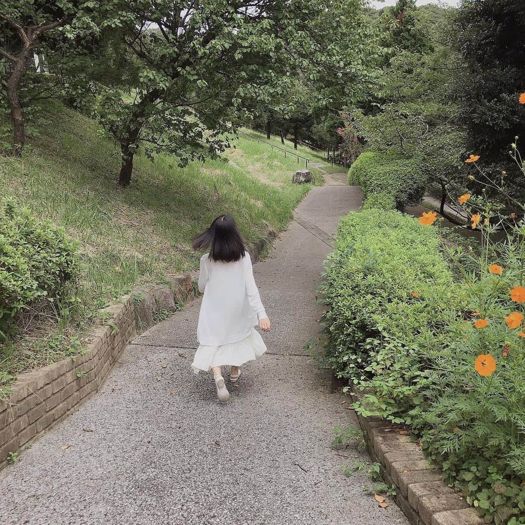 前野えまさんのインスタグラム写真 - (前野えまInstagram)「金沢自然公園に行って来ました。 たくさんのお花と緑に囲まれ癒されました🌳 花の周りにはたくさんの蝶が舞い🦋道端では蜥蜴を何匹も見かけました🦎 蜥蜴は怖いと思っていたけど自然の中にいると不思議と怖くなかったです。 隣接する金沢動物園にも行きたかったのですが、雨が降ってきたので諦めました。 動物園の入り口もたくさんのお花が咲いていて素敵でした🌼  #金沢自然公園 #金沢動物園 #横浜市 #金沢区 #自然公園 #動物園 #花 #お花好きな人と繋がりたい #蝶々 #🦋 #とかげ #蜥蜴 #🦎 #緑 #空 #また行きたい #前野えま #みんなでおこそうfavo革命」9月9日 8時13分 - maeno_ema