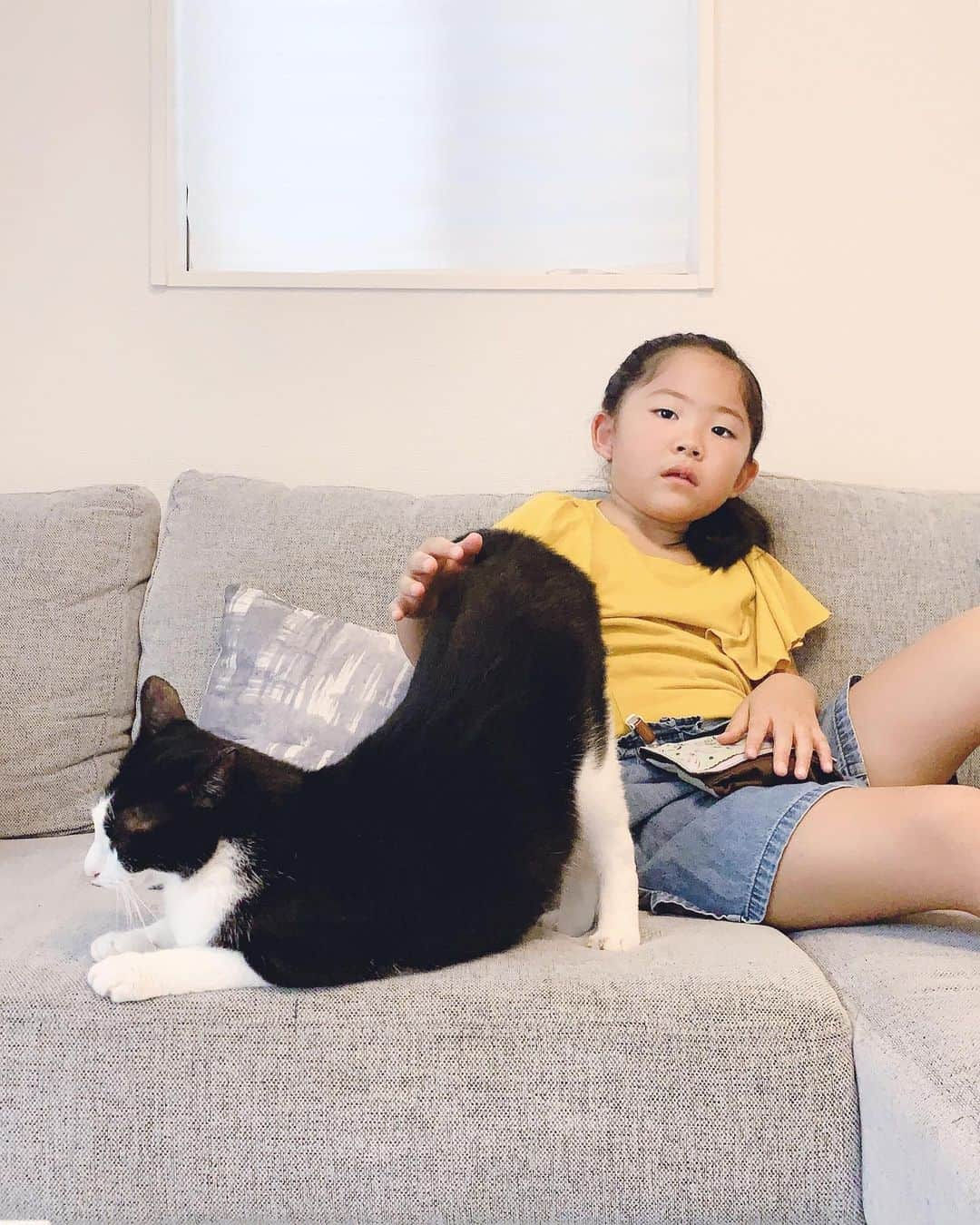 korokoronyaさんのインスタグラム写真 - (korokoronyaInstagram)「✵*∗ 9 Sep, 2019  This morning’s 🐱👧🏻 * お早うございます🐱👧🏻 台風凄かった😰 午前3時、強風で家は揺れるし、 音がうるさくて目が覚めたら ちょうど姉からLINEが来て 実家の屋根が壊れて雨漏りしてるって😱 ひー😱消防呼んでとりあえずブルーシート で対応してもらったらしい。 ボロ家だから心配ですわ😓 今日の学校も個人で判断で、 遅刻欠席してもそういう扱いにならない らしいけど、あたしは仕事だから もちろん行ってもらいます😅 (心配なので様子見て送っていきます。) みなさん大丈夫でしたか？ * #ごまとちびまめ」9月9日 8時26分 - korokoronya