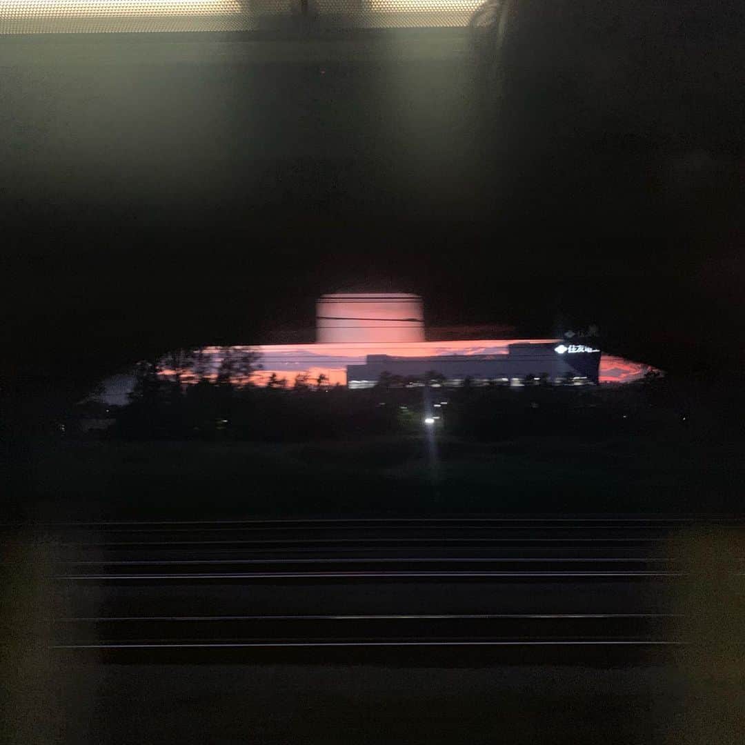 クリス智子さんのインスタグラム写真 - (クリス智子Instagram)「帰ってる。」9月9日 18時25分 - chris_tomoko