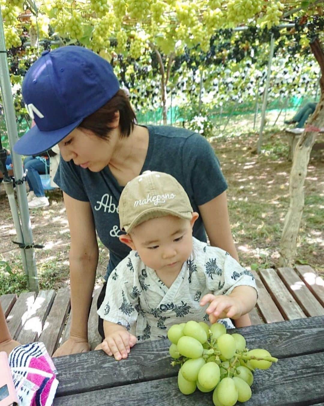高橋みゆきのインスタグラム：「ぶどう狩りにプールに🍇🎶ワンコ達追いかけまわし🐶💨山形満喫👶 #ぶどう狩り🍇 #プール #台風の影響で1日伸びた #クゥーと仲良くなった #最初はビビリまくり」