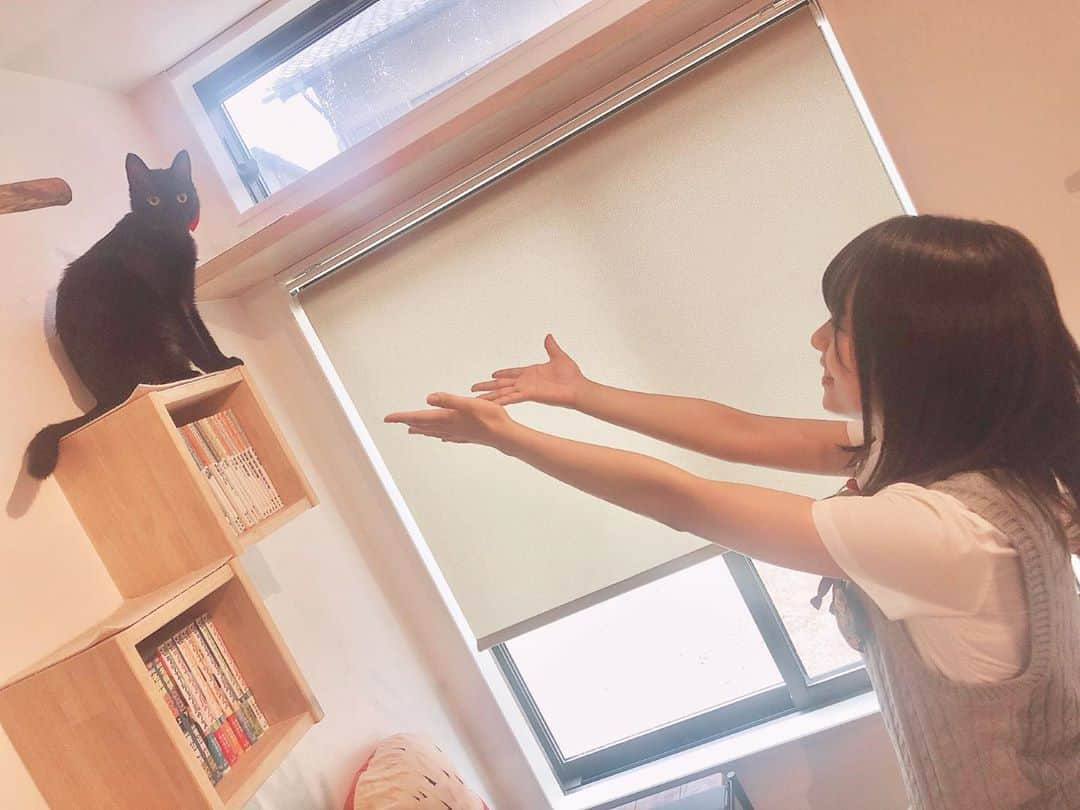 高畑結希さんのインスタグラム写真 - (高畑結希Instagram)「. おいで〜🥺🖤❤️ 初 猫カフェにて。 🐈  大垣ケーブルテレビさんにて 「SKE48のめざせインスタ映え」 今日から放送です😊 . . #ske48のめざせインスタ女王  #大垣ケーブルテレビ #大垣 #岐阜 #放送 #今日から #パンケーキ #ホットケーキ #特集 #くつろぎ #猫カフェ #norara #癒し #黒猫 #cat  #インスタ映え #企画 #観てね #ねこすたぐらむ」9月9日 18時54分 - yuhki_takahata