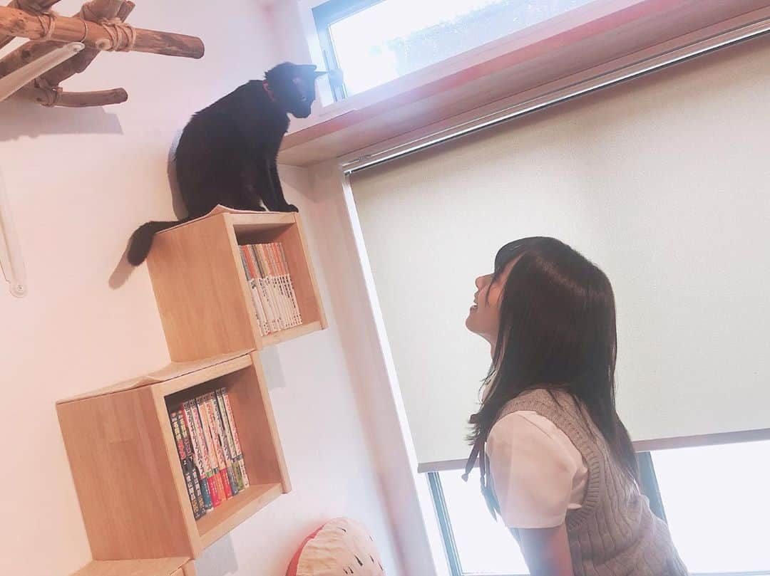 高畑結希さんのインスタグラム写真 - (高畑結希Instagram)「. おいで〜🥺🖤❤️ 初 猫カフェにて。 🐈  大垣ケーブルテレビさんにて 「SKE48のめざせインスタ映え」 今日から放送です😊 . . #ske48のめざせインスタ女王  #大垣ケーブルテレビ #大垣 #岐阜 #放送 #今日から #パンケーキ #ホットケーキ #特集 #くつろぎ #猫カフェ #norara #癒し #黒猫 #cat  #インスタ映え #企画 #観てね #ねこすたぐらむ」9月9日 18時54分 - yuhki_takahata