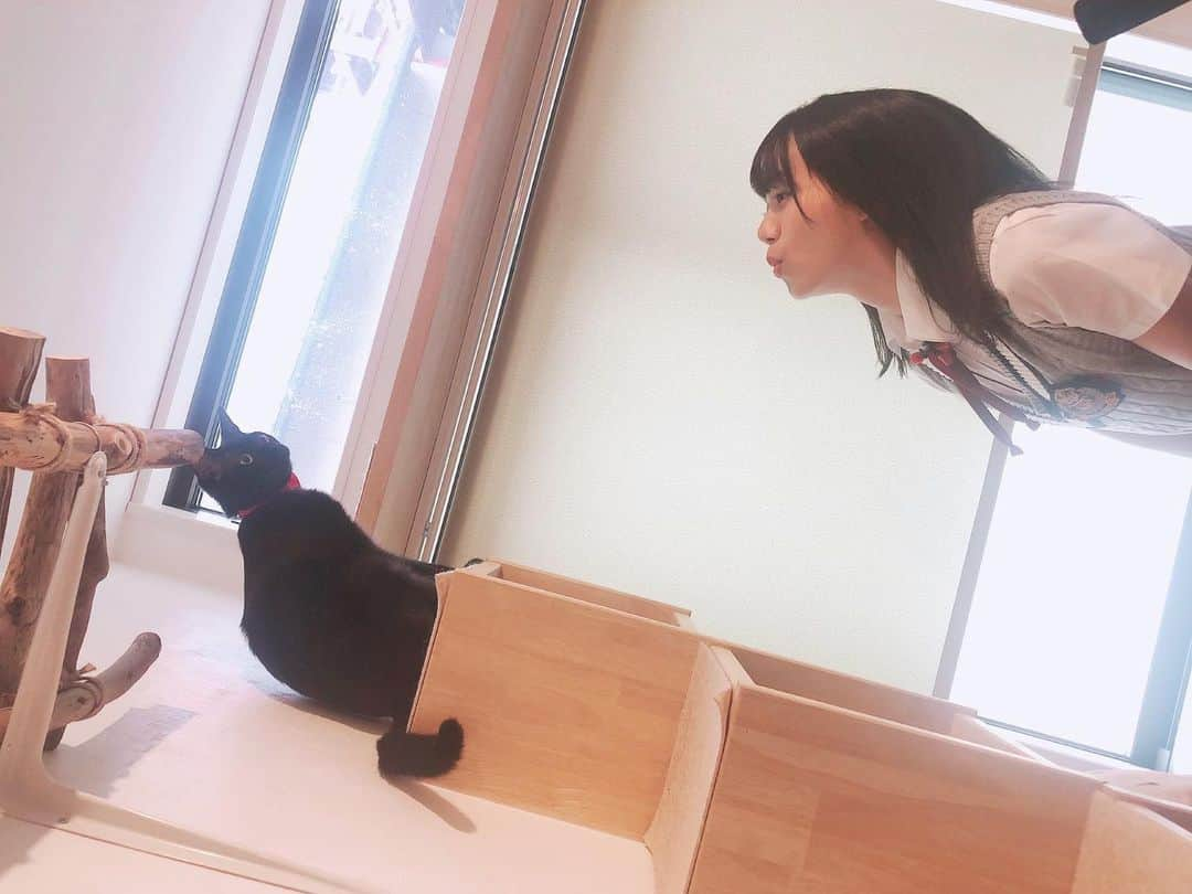 高畑結希さんのインスタグラム写真 - (高畑結希Instagram)「. おいで〜🥺🖤❤️ 初 猫カフェにて。 🐈  大垣ケーブルテレビさんにて 「SKE48のめざせインスタ映え」 今日から放送です😊 . . #ske48のめざせインスタ女王  #大垣ケーブルテレビ #大垣 #岐阜 #放送 #今日から #パンケーキ #ホットケーキ #特集 #くつろぎ #猫カフェ #norara #癒し #黒猫 #cat  #インスタ映え #企画 #観てね #ねこすたぐらむ」9月9日 18時54分 - yuhki_takahata